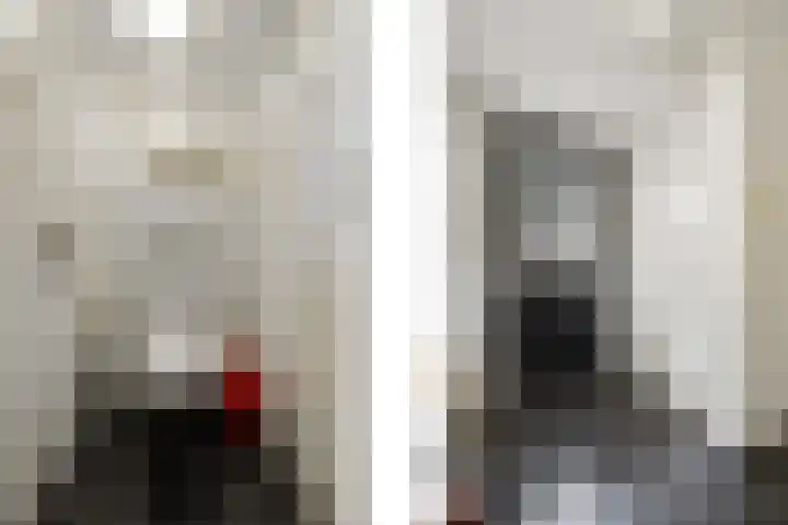 Vondellaan 7 Arnhem thumbnail 6