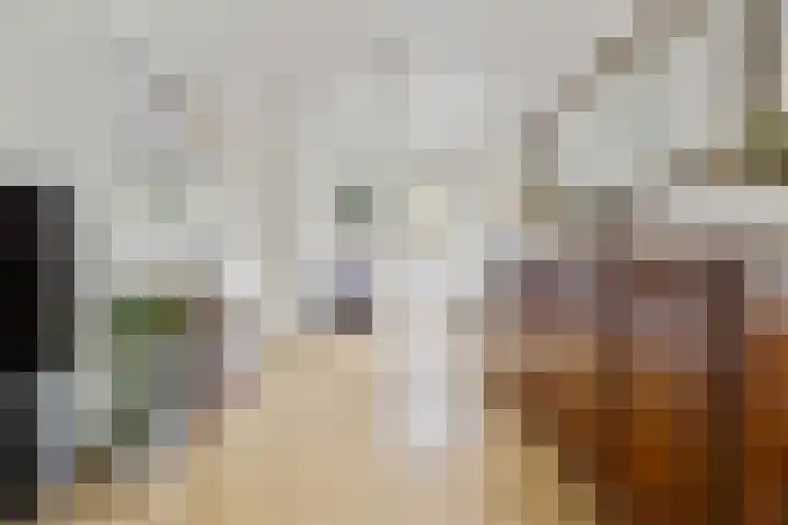 Vondellaan 7 Arnhem thumbnail 7