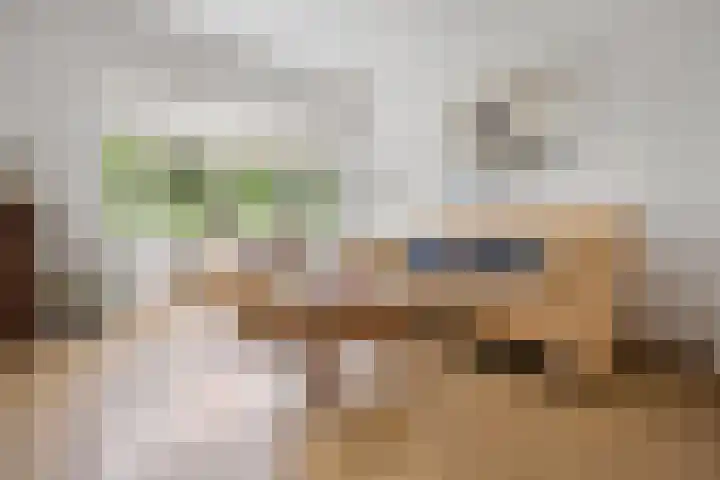 Vondellaan 7 Arnhem thumbnail 9