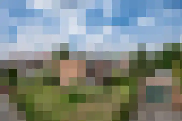 Vondellaan 7 Zevenaar thumbnail 30