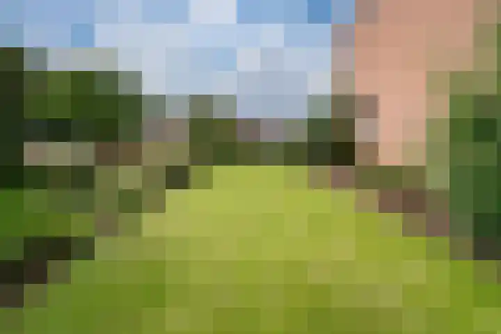 Vondellaan 7 Zevenaar thumbnail 31