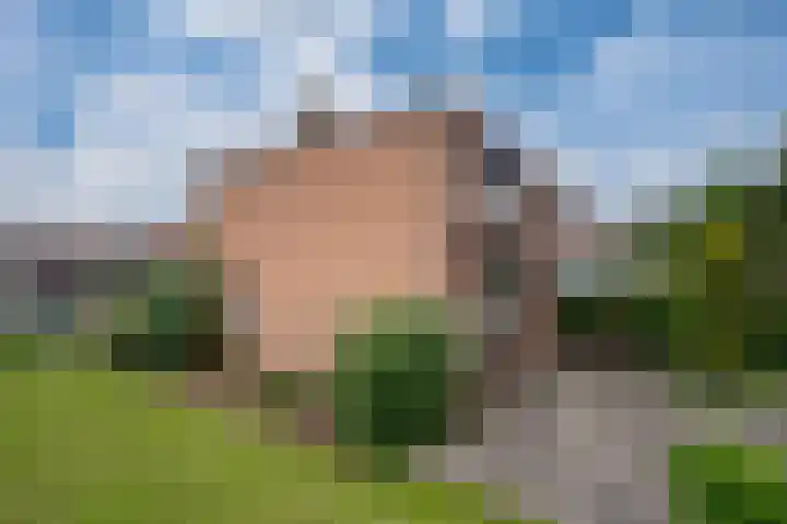 Vondellaan 7 Zevenaar thumbnail 32