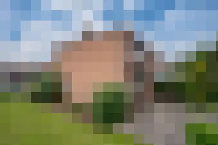 Vondellaan 7 Zevenaar thumbnail 4