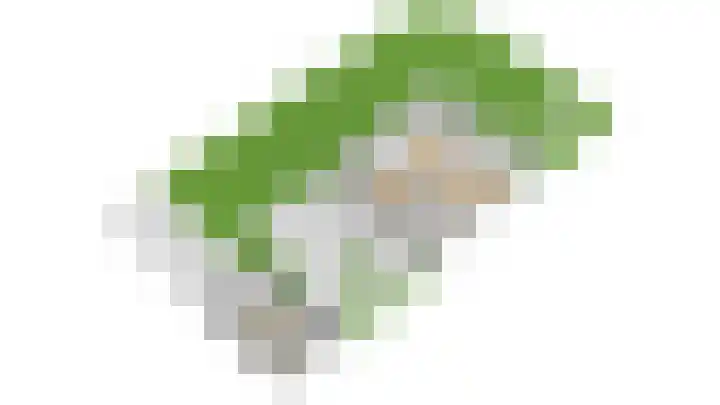 Vondellaan 7 Zevenaar thumbnail 60