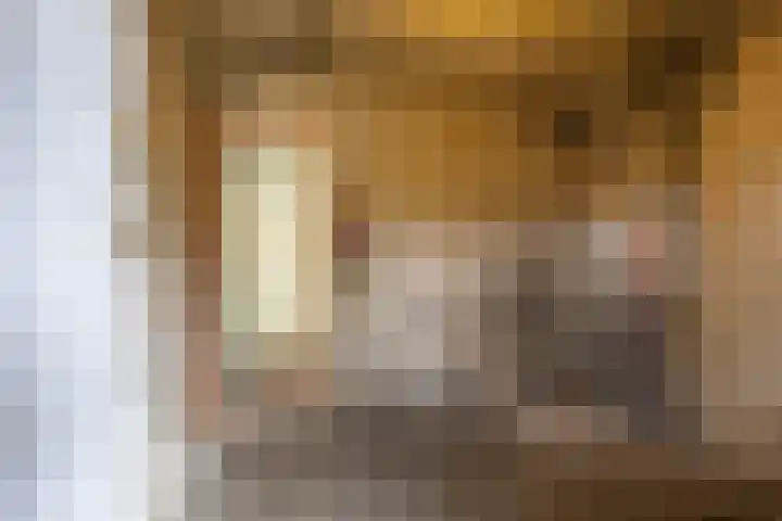 Vondellaan 80 Groningen thumbnail 36