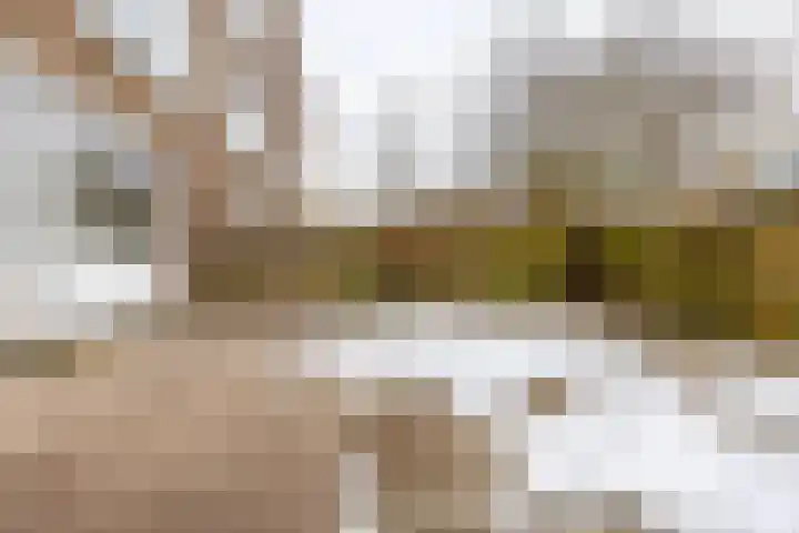 Vondellaan 80 Groningen thumbnail 39