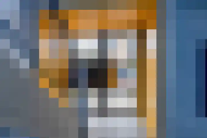 Vondellaan 80 Groningen thumbnail 4