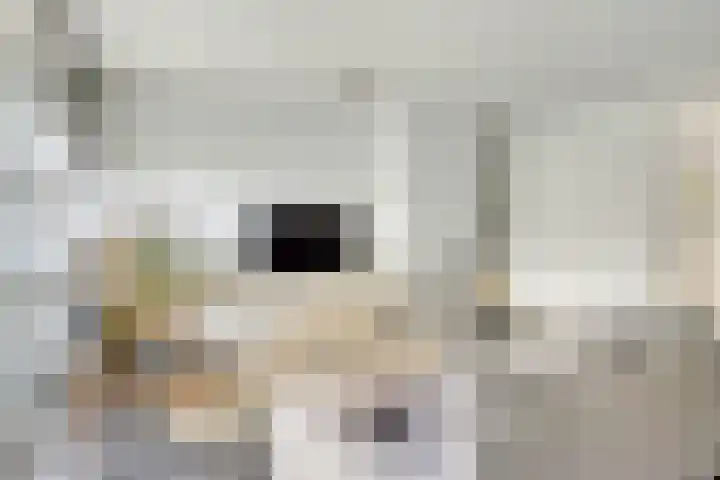 Vondelstraat 10 Beek thumbnail 10