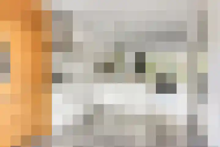 Vondelstraat 10 Beek thumbnail 16
