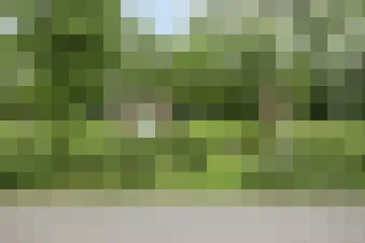 Vondelstraat 10 Beek thumbnail 39