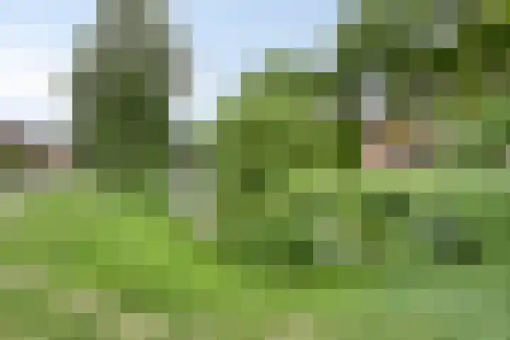 Vondelstraat 10 Beek thumbnail 41