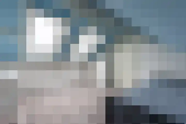 Vondelstraat 14 Aalten thumbnail 17