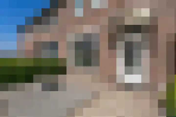 Vondelstraat 45 Brunssum thumbnail 26