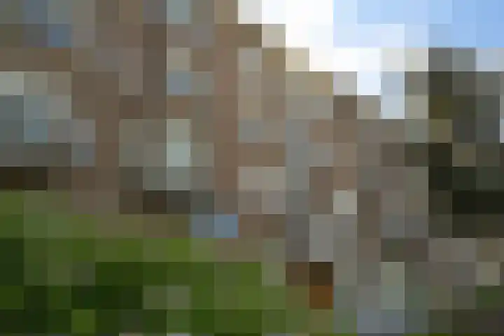 Vondelstraat 68 Den Haag thumbnail 8