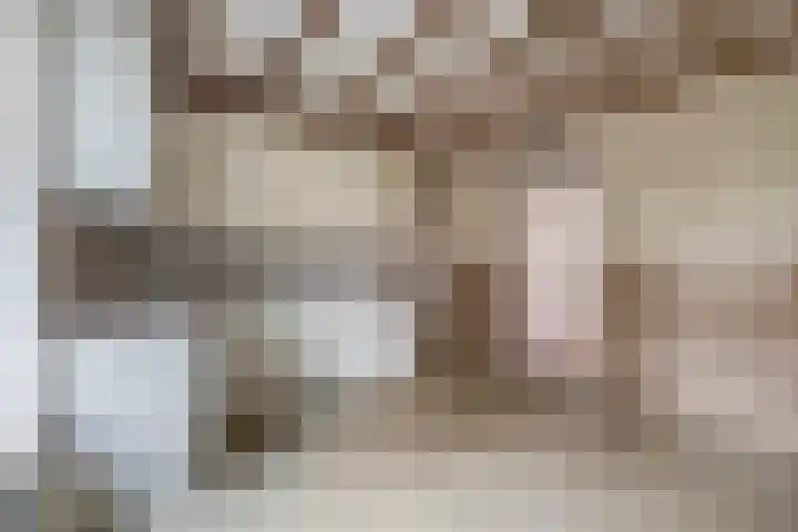 Vonderpad 11 Bergeijk thumbnail 12