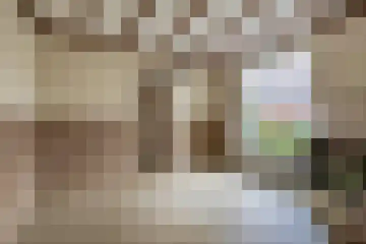 Vonderpad 11 Bergeijk thumbnail 13