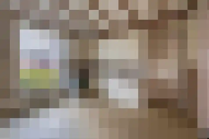 Vonderpad 11 Bergeijk thumbnail 14