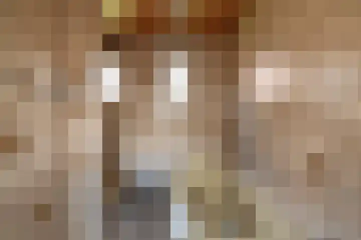 Vonderpad 11 Bergeijk thumbnail 18