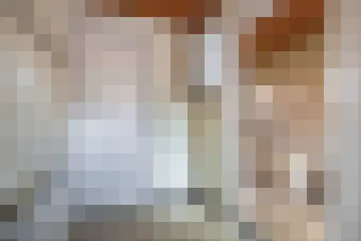 Vonderpad 11 Bergeijk thumbnail 19