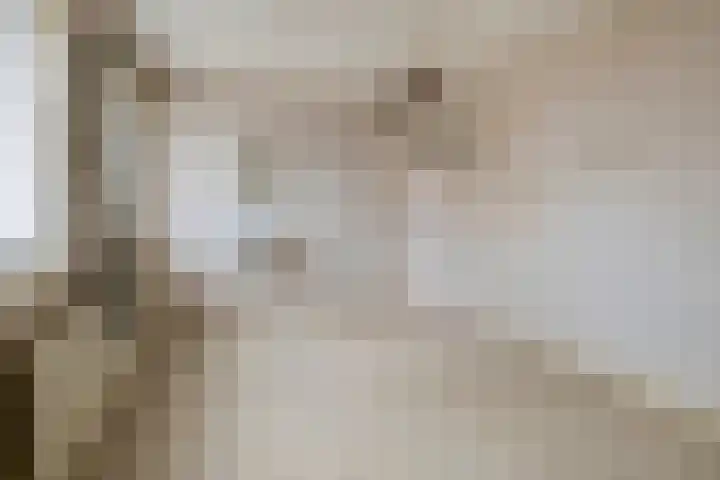 Vonderpad 11 Bergeijk thumbnail 23
