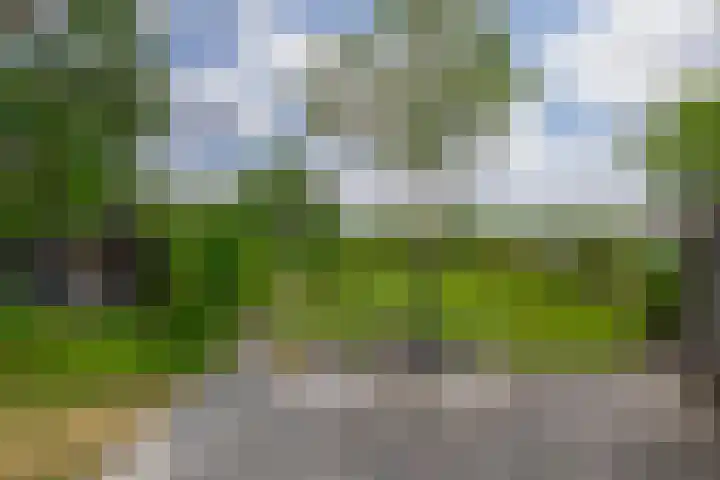 Vonderpad 11 Bergeijk thumbnail 29