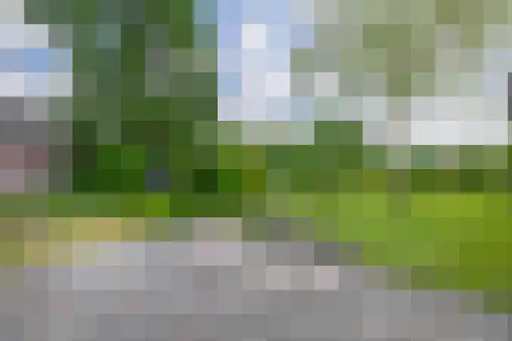 Vonderpad 11 Bergeijk thumbnail 31