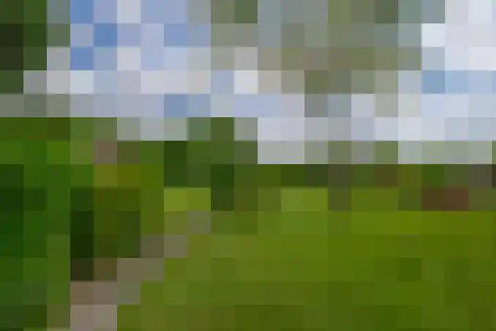 Vonderpad 11 Bergeijk thumbnail 33