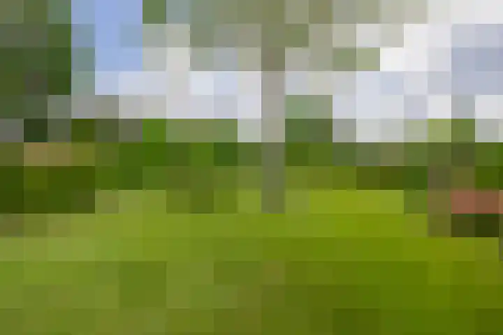 Vonderpad 11 Bergeijk thumbnail 34