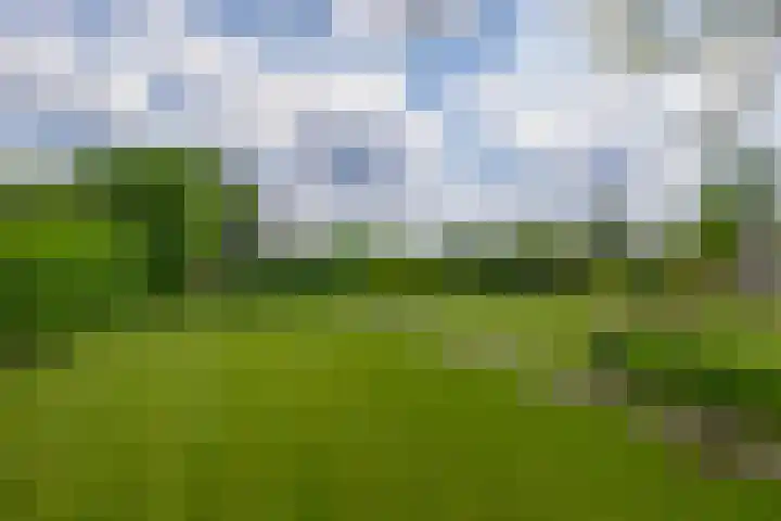 Vonderpad 11 Bergeijk thumbnail 35