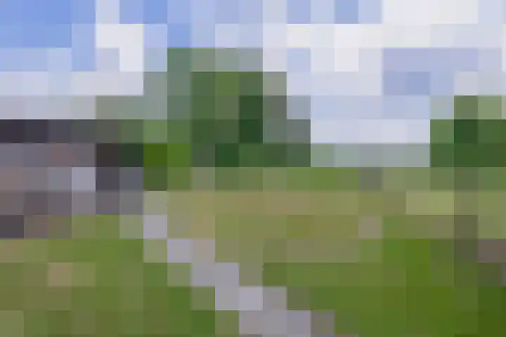 Vonderpad 11 Bergeijk thumbnail 36