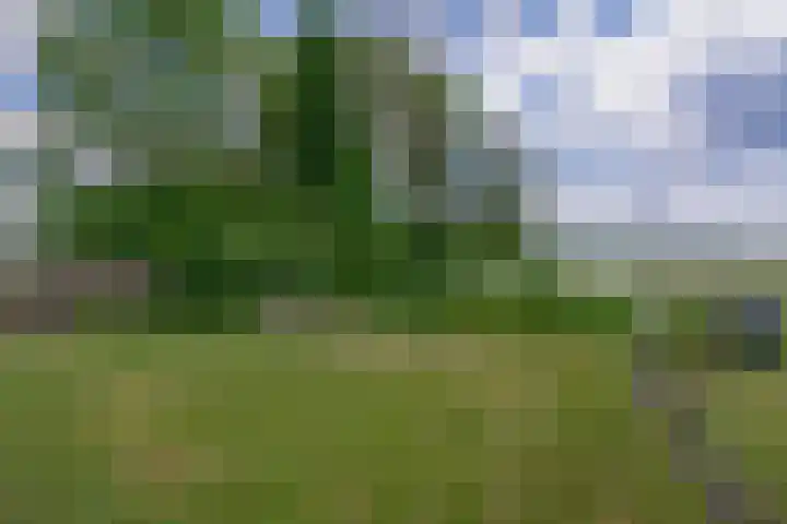 Vonderpad 11 Bergeijk thumbnail 37