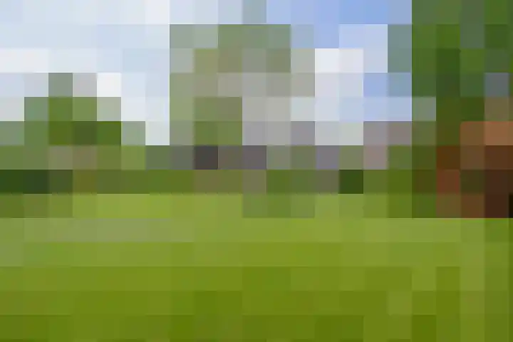 Vonderpad 11 Bergeijk thumbnail 39