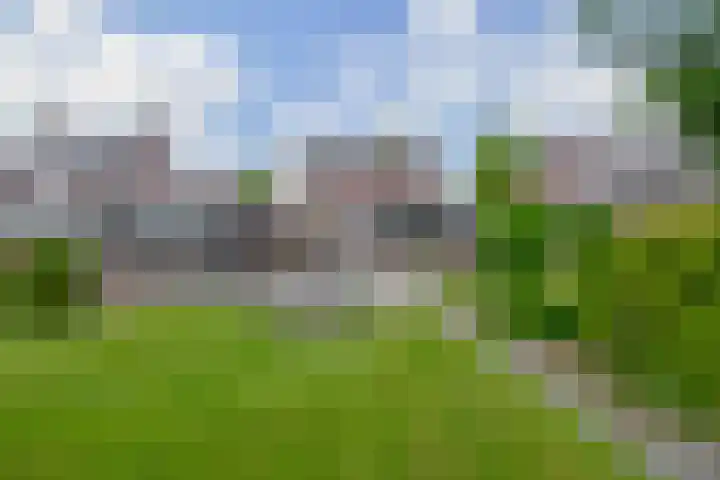 Vonderpad 11 Bergeijk thumbnail 4