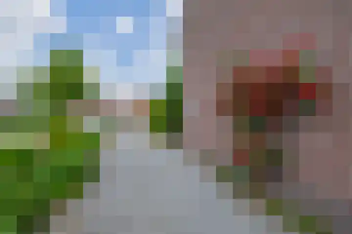 Vonderpad 11 Bergeijk thumbnail 43