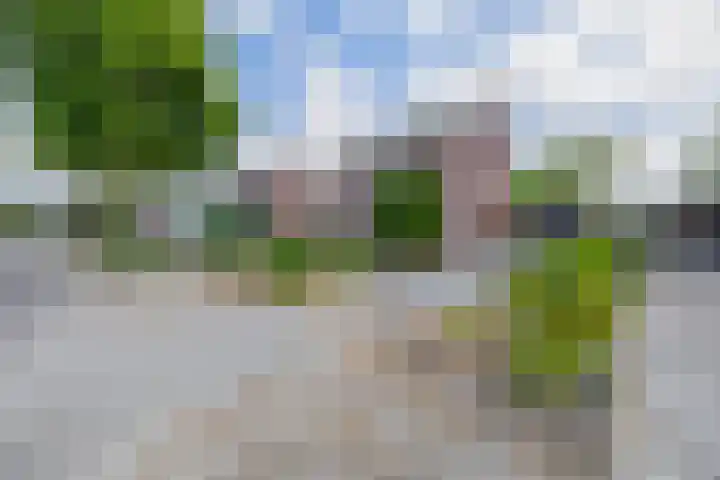 Vonderpad 11 Bergeijk thumbnail 45