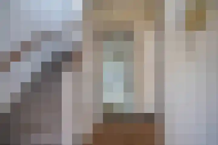Vonderpad 11 Bergeijk thumbnail 7