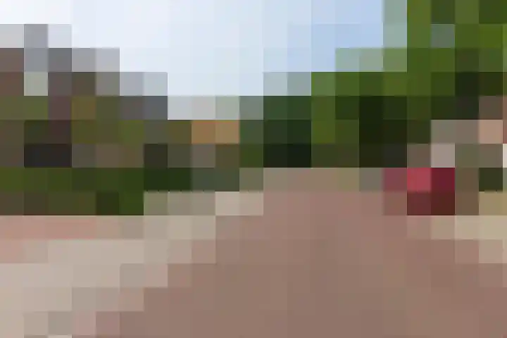 Vonderstraat 14 Riel thumbnail 38