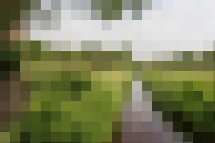 Vonderstraat 14 Riel thumbnail 40
