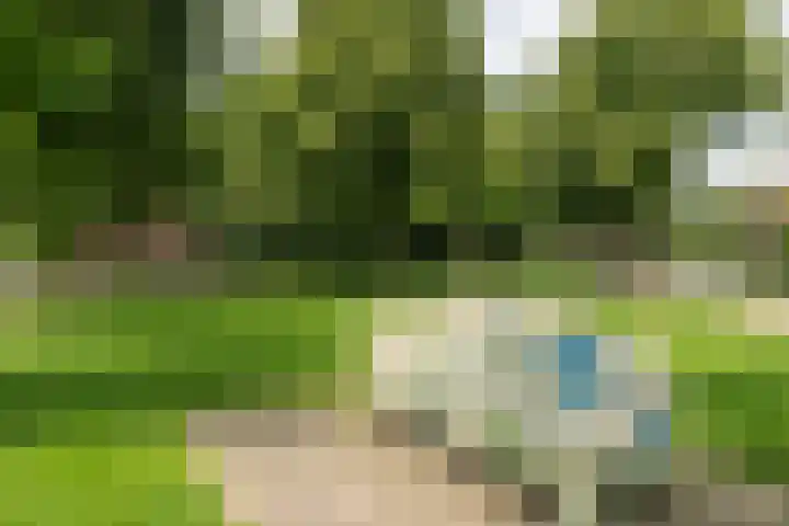 Vonderstraat 14 Riel thumbnail 42