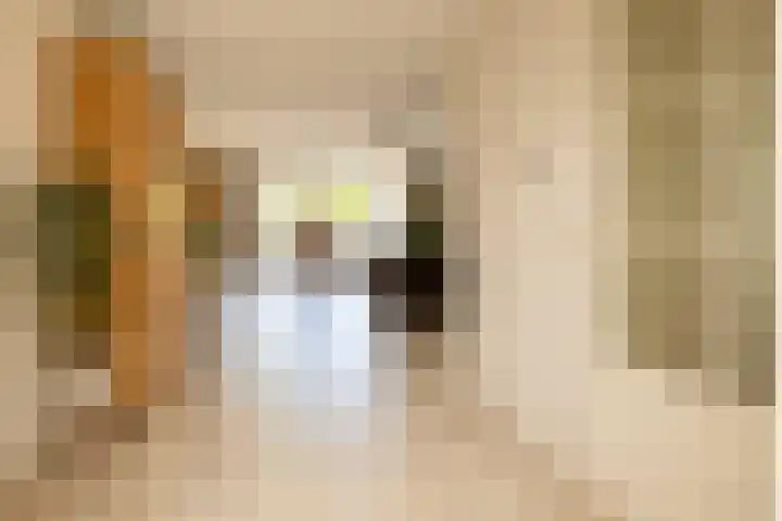 Voomberghlaan 7 Maasdijk thumbnail 13