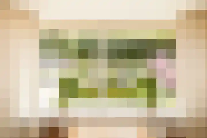 Voomberghlaan 7 Maasdijk thumbnail 17