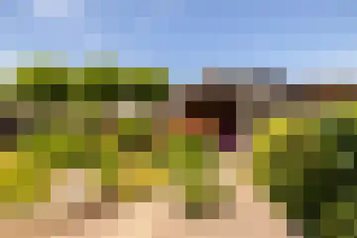 Voomberghlaan 7 Maasdijk thumbnail 38