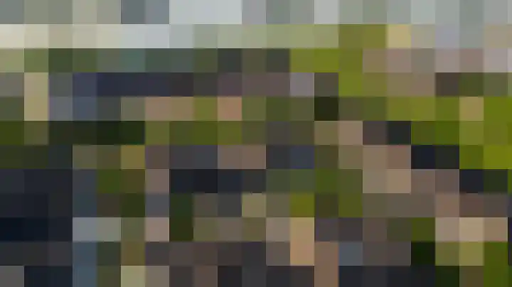 Voomberghlaan 7 Maasdijk thumbnail 49