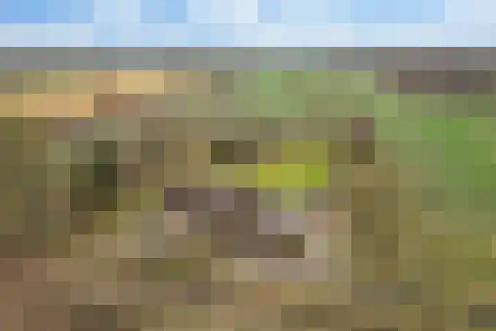 Voor de Blanken 8 in Ruinen