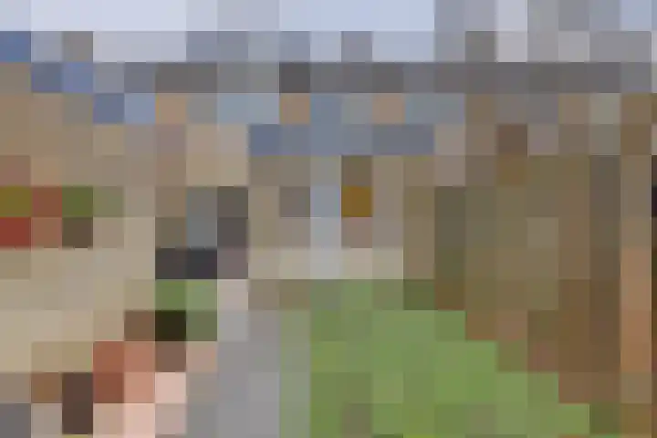 Voorburcht 21 Kapelle thumbnail 31