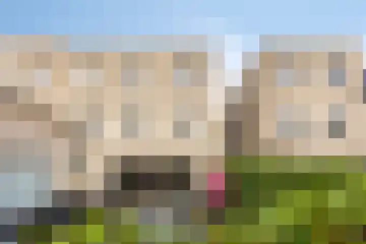 Voorbuurt 19 Purmerend thumbnail 42
