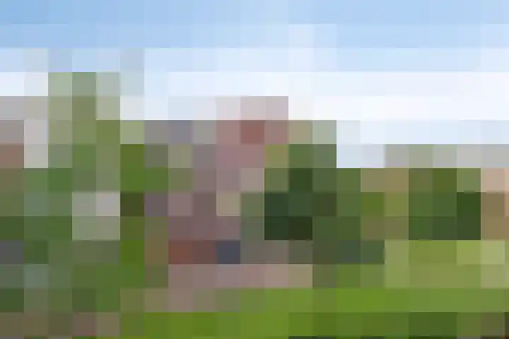 Voorbuurt 19 Purmerend thumbnail 6