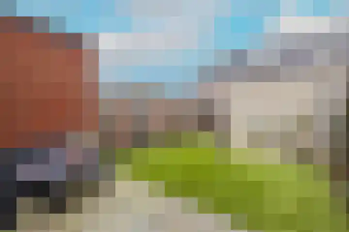 Voorde 31 Poeldijk thumbnail 33