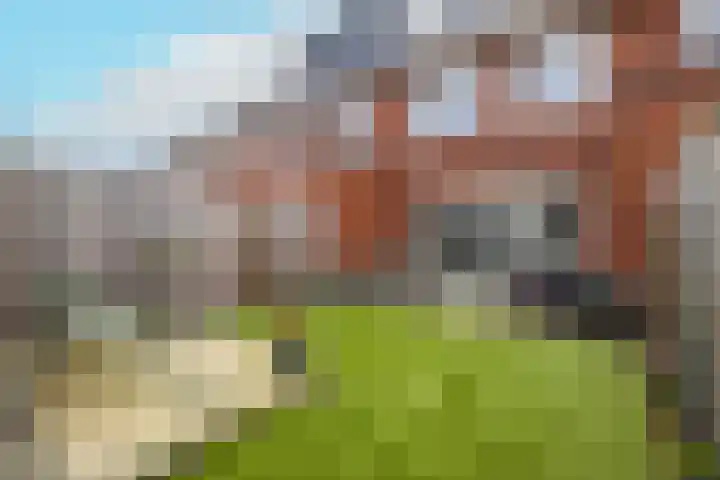 Voorde 31 Poeldijk thumbnail 36