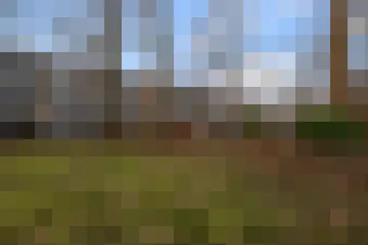 Voordek 21 Amsterdam thumbnail 23